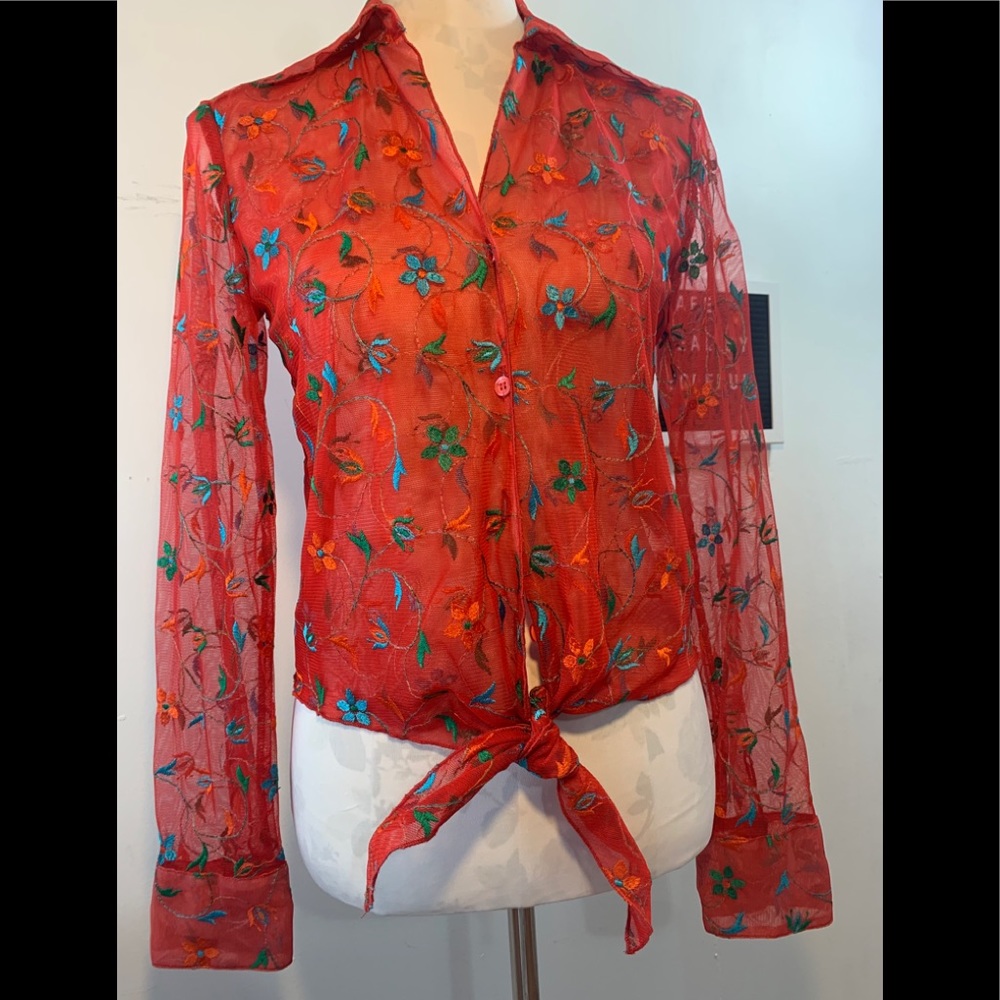 Unknown Sheer Embroidered Top